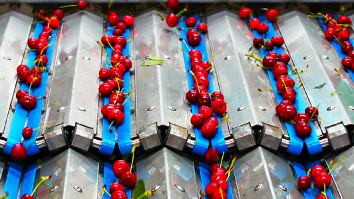 Cerezas maf roda Cherryway.jpg